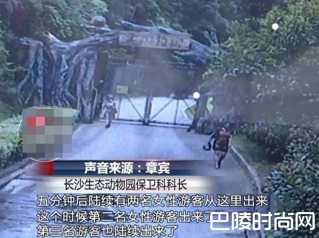 惊险一幕 惊险一幕