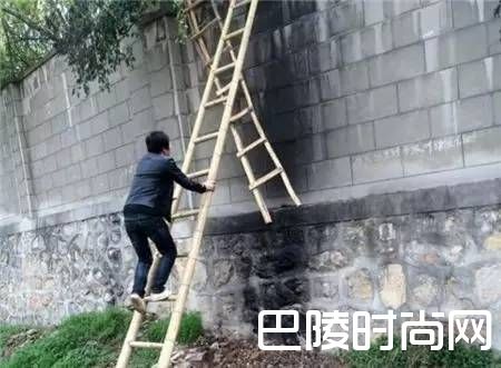 翻墙进动物园 翻墙进动物园