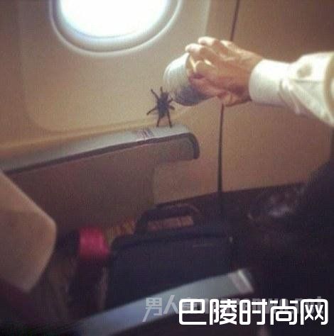 航空旅客不雅行为