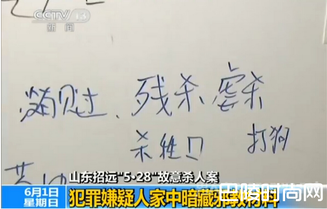 山东招远麦当劳杀人案