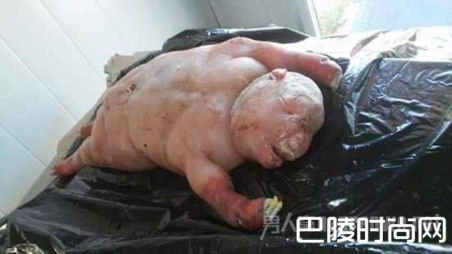 羊身人脸 羊身人脸