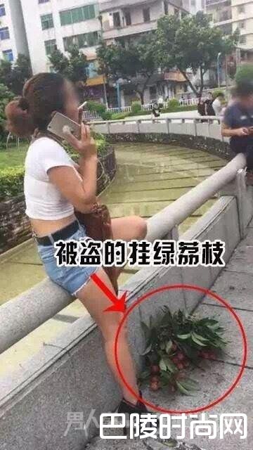 女子摘天价荔枝