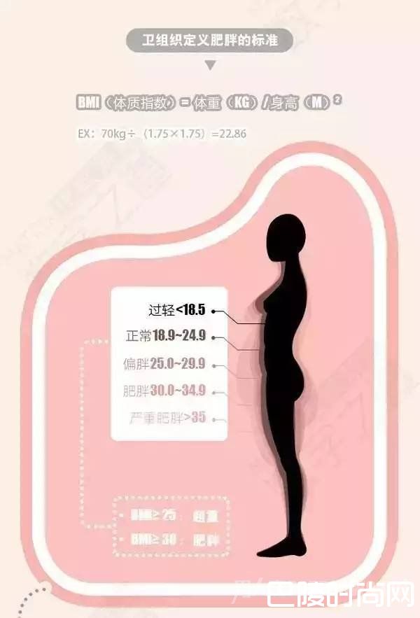 卫组定义的胖的标准