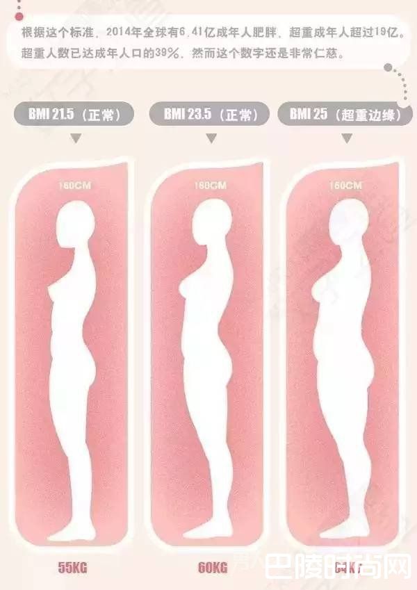 卫组定义的胖的标准