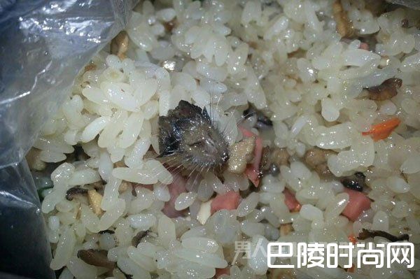 糯米饭里有个拇指大的老鼠头 糯米饭里有个拇指大的老鼠头
