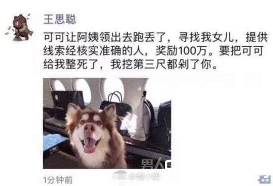 王思聪寻狗启示