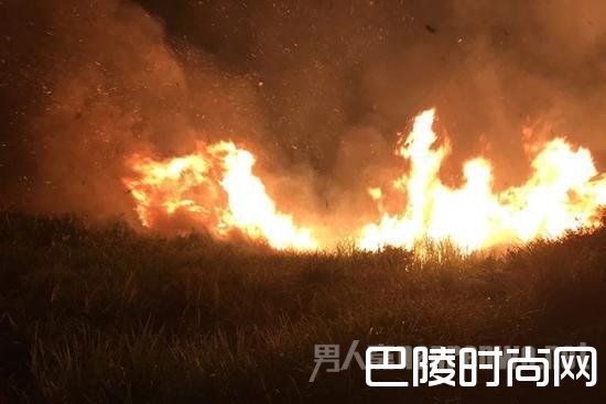 陈大妈放火求救，结果酿成山林大火