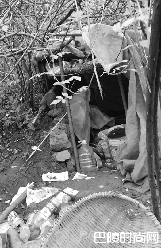 姚常凤在重庆梁平半山腰搭建的窝