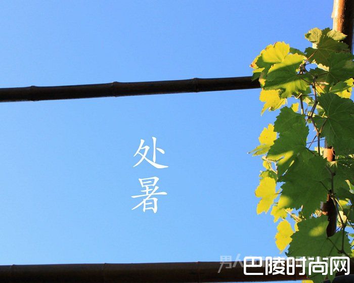 处暑节气如何养生 处暑节气如何养生