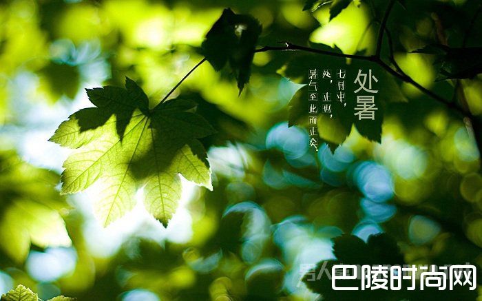 处暑节气如何养生 处暑节气如何养生