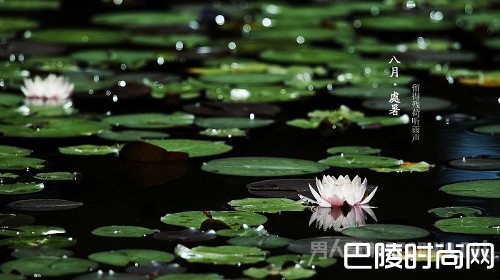 处暑吃什么养生