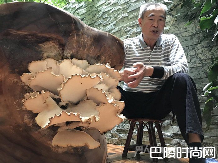 茶几长蘑菇冒香气