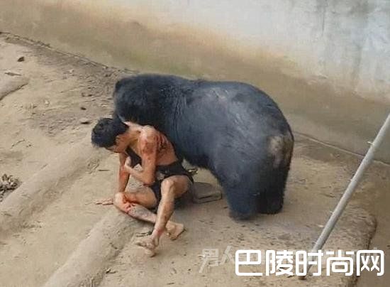 男子被黑熊拖进围场 男子被黑熊拖进围场