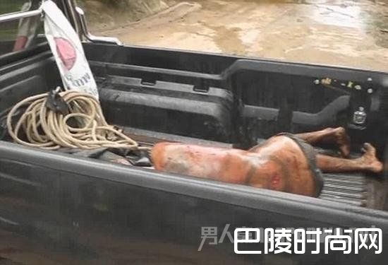 侥幸生还 侥幸生还