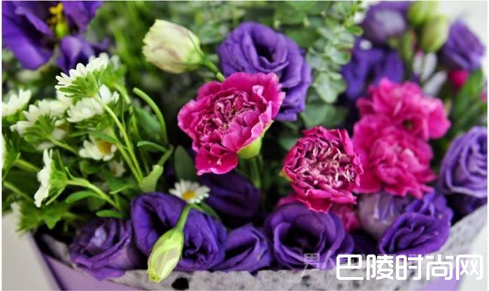 教师节送什么花