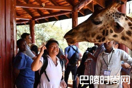 大批游客非洲避暑