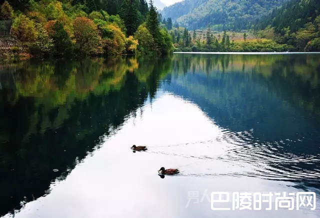 2014年9月26日的熊猫海 2014年9月26日的熊猫海