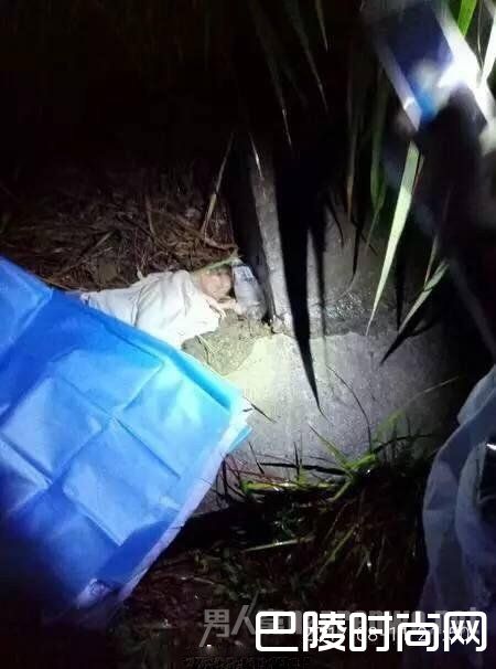 四川宜宾刚出生女婴被扔草丛