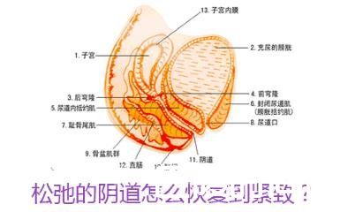 修复滋养 修复滋养