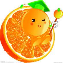 橙子 橙子