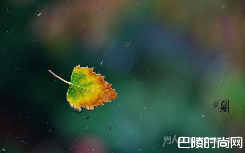 白露节气
