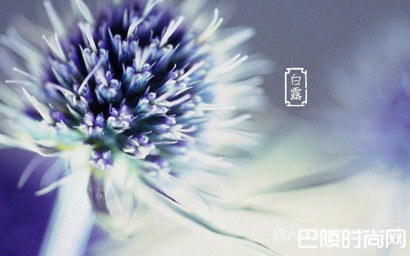 白露节气是几月几日