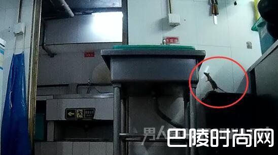 海底捞后厨 海底捞后厨