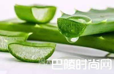 芦荟