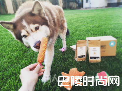 POPUP Crossover? POPUP Crossover?