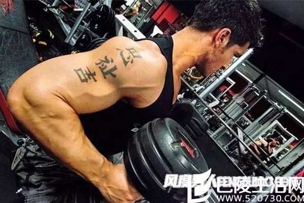 小臂不亚于二头本身 小臂不亚于二头本身