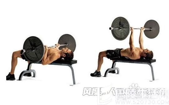 平卧推举 平卧推举