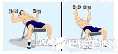 仰卧上斜哑铃推胸