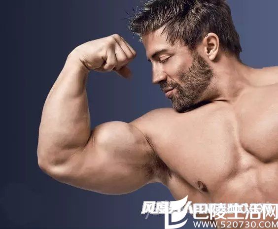 肱二头肌 肱二头肌