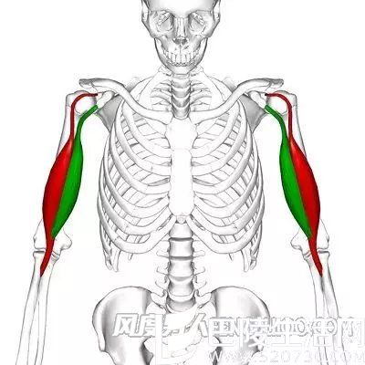 从误区中走出 从误区中走出