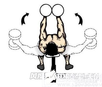 仰卧平躺哑铃飞鸟