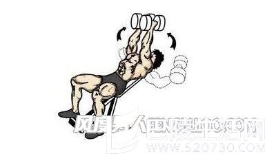 仰卧上斜哑铃飞鸟