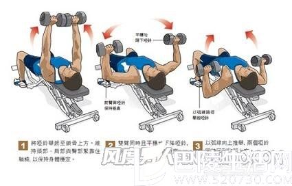 仰卧平躺哑铃推胸