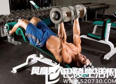 平卧飞鸟 平卧飞鸟