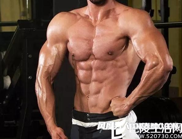 胸肌男 胸肌男