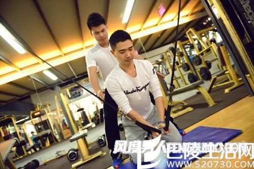 立姿十字拉力器飞鸟