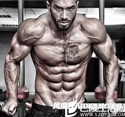 男人胸肌 男人胸肌
