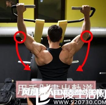 锻炼背肌 锻炼背肌