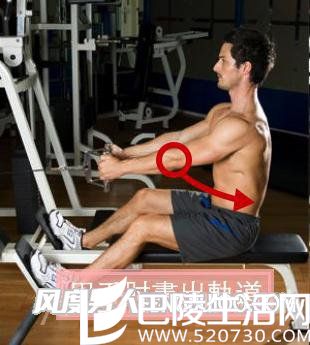 男人背肌 男人背肌