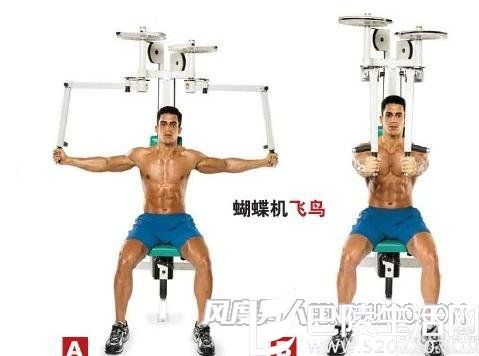 器械夹胸飞鸟