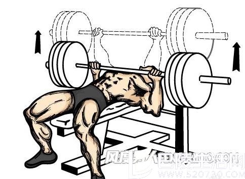 杠铃卧推 杠铃卧推