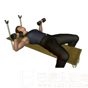 哑铃卧推 哑铃卧推