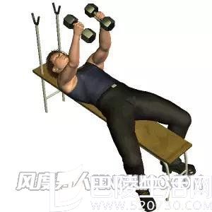 哑铃飞鸟 哑铃飞鸟