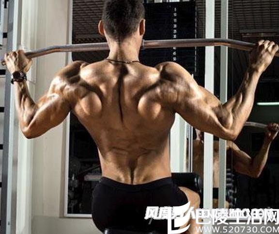 练背部肌肉