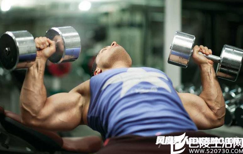 背肌训练