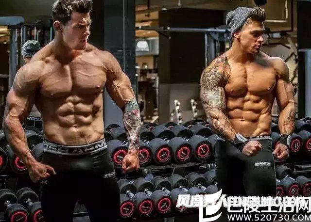 健身好习惯 健身好习惯